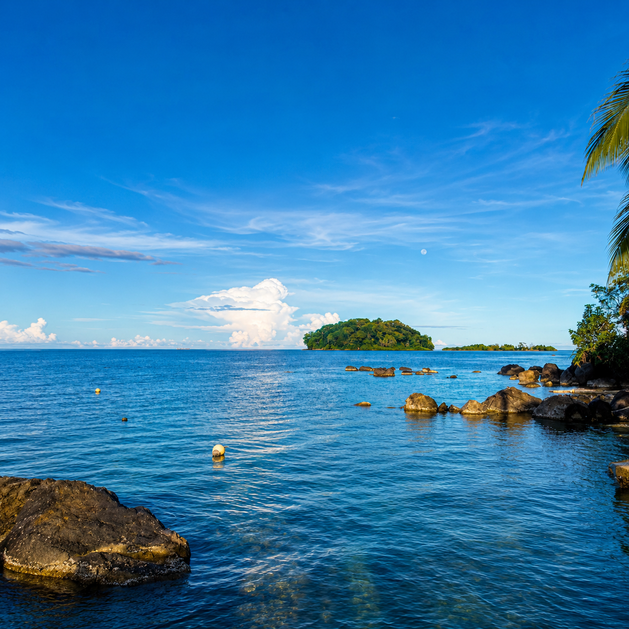 Pasadía en Isla del Tesoro + Almuerzo Incluido por solo $12.50 en Scuba Panamá