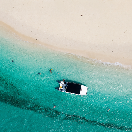 Pasadía en Isla Mamey + Tour Completo por $15 con Ally's Tours
