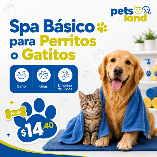 Spa Básico para Perritos y Gatitos con Baño, Uñas y Limpieza de Oídos desde $14.40 en PetsLand