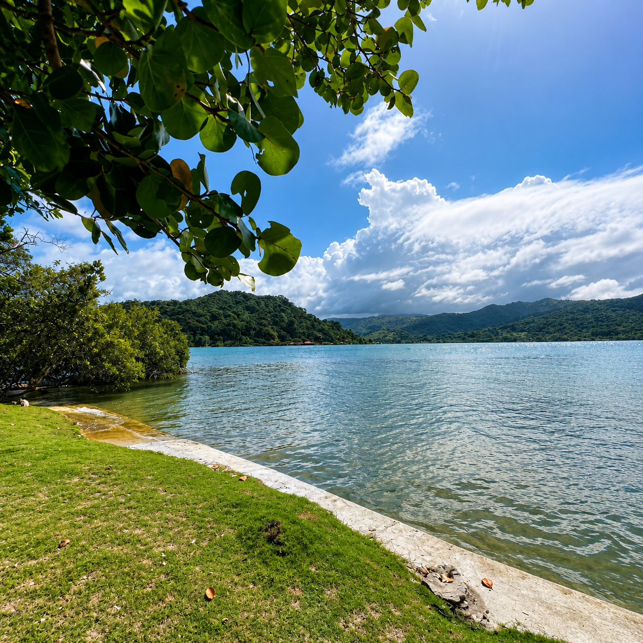 Pasadía en Isla del Tesoro por $7.50 por persona con Scuba Panamá