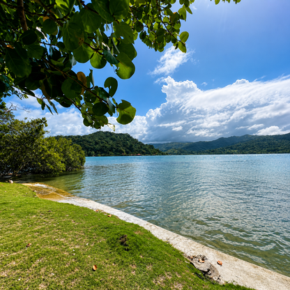 Pasadía en Isla del Tesoro por $7.50 por persona con Scuba Panamá