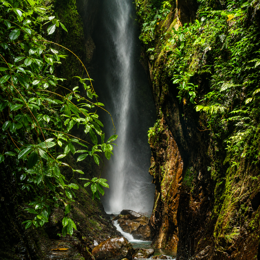 Tour de Cascada + Pasadía con Piscina, Jacuzzi, Picada y 10 Tés Fríos para 10 Personas por solo $250 en Hotel Horizonte Resort Hotel & Spa – Chiriquí