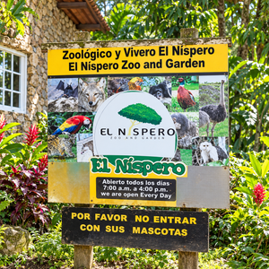 Full Day en El Valle de Antón + Tour por 5 Atracciones + Transporte y Almuerzo