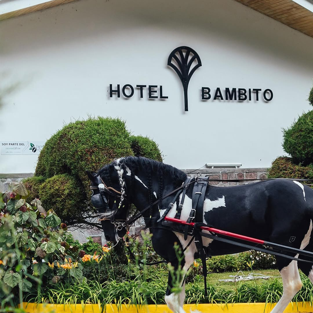 Estadía en Habitación Deluxe para 2 Adultos y 2 Niños + Desayuno + Late Check Out desde $90 en el Hotel Bambito