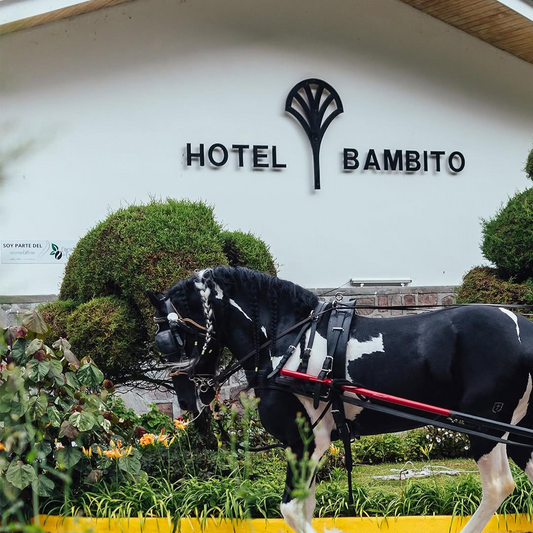 Estadía en Habitación Deluxe para 2 Adultos y 2 Niños + Desayuno + Late Check Out desde $90 en el Hotel Bambito