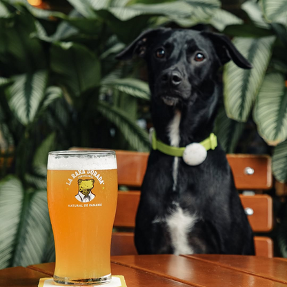 Jarra de Cerveza Clásica + Pizza desde $20 en La Rana Dorada – Brisas del Golf
