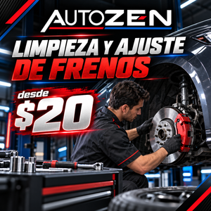 Limpieza y Ajuste de Frenos desde $20