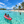 Pasadía en San Blas + Tour + Almuerzo y Bebida