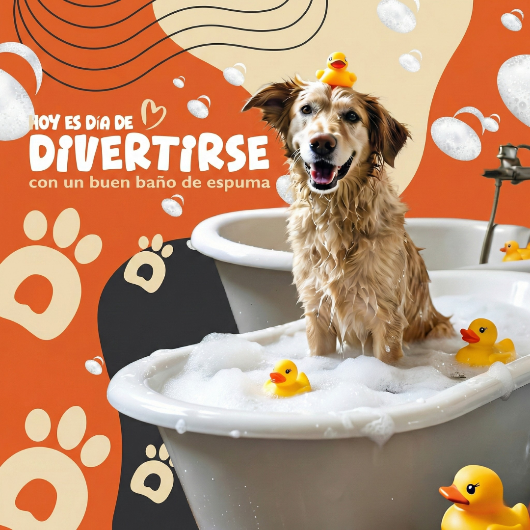 Baño Completo para tu peludito desde $10 en Toby Pets Group