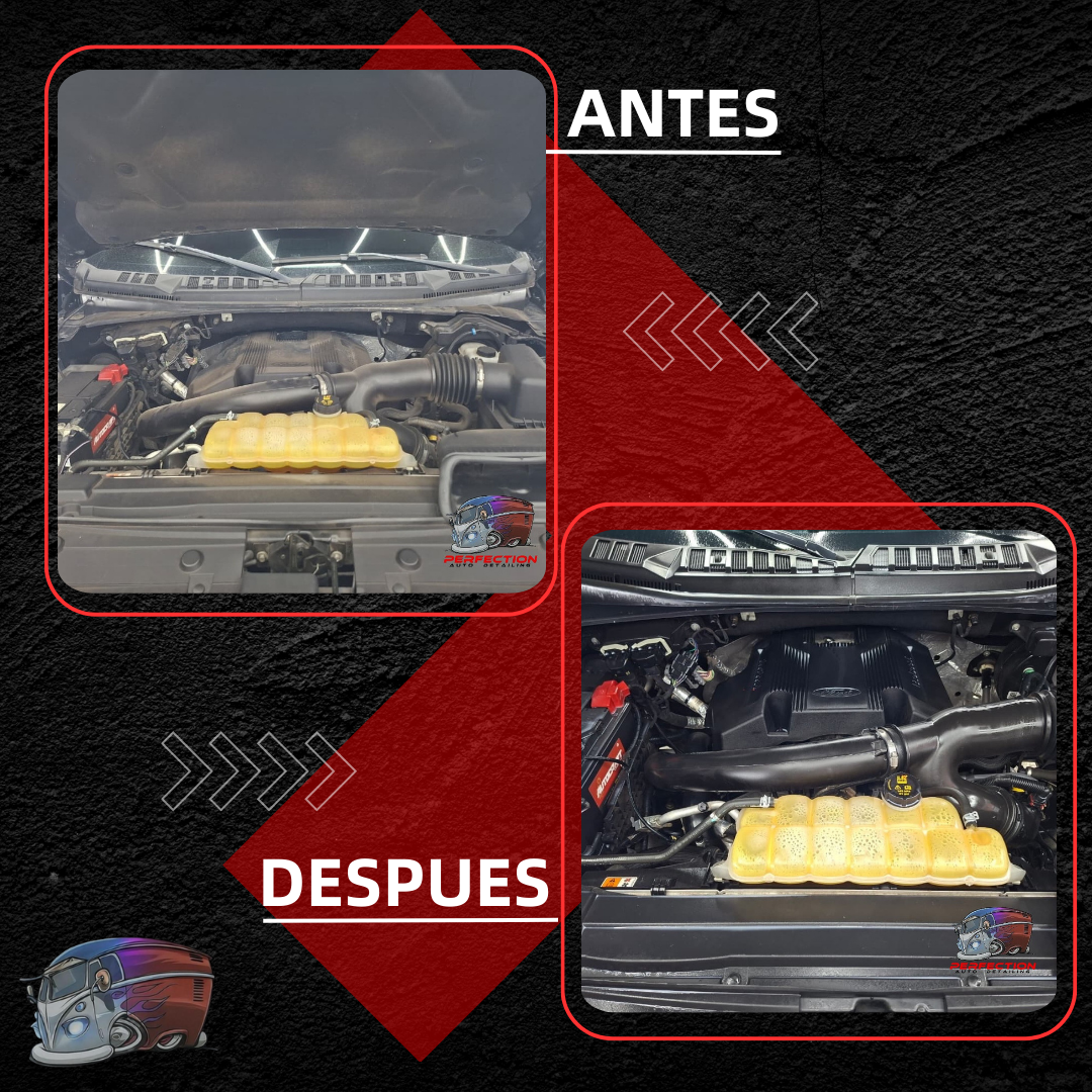 Servicio de Detailing + Lavado de Motor para Sedán, SUV o Pick Up/VAN desde $30 en Perfection Auto Detailing