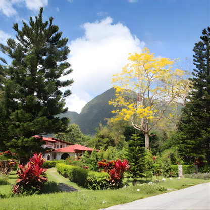 Estadía de 1 noche para 2, 3 o 4 personas + Desayuno incluido desde $73 en el Hotel Valle Verde